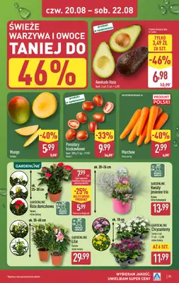 Aldi - gazetka promocyjna Pełny katalog! od poniedziałku 17.08 do soboty 22.08 - strona 35