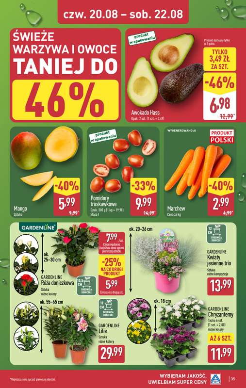 Aldi - gazetka promocyjna Pełny katalog! od poniedziałku 17.08 do soboty 22.08 - strona 35