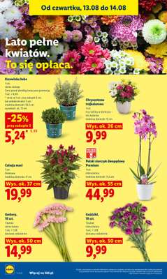 Lidl - gazetka promocyjna Gazetka Ważna Od 12.08 Do 14.08 od środy 12.08 do piątku 14.08 - strona 88