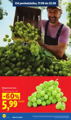 Lidl - gazetka promocyjna Oferta od poniedziałku od poniedziałku 17.08 do środy 19.08 - strona 16