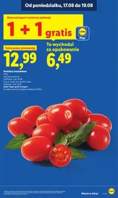 Lidl - gazetka promocyjna Oferta od poniedziałku od poniedziałku 17.08 do środy 19.08 - strona 17