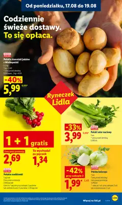 Lidl - gazetka promocyjna Oferta od poniedziałku od poniedziałku 17.08 do środy 19.08 - strona 35