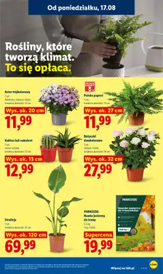 Lidl - gazetka promocyjna Oferta od poniedziałku od poniedziałku 17.08 do środy 19.08 - strona 77