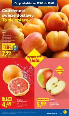 Lidl - gazetka promocyjna Oferta od poniedziałku od poniedziałku 17.08 do środy 19.08 - strona 37