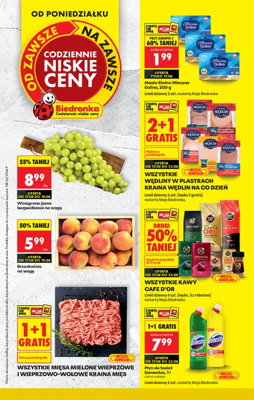 Biedronka - gazetka promocyjna Od poniedziałku  
