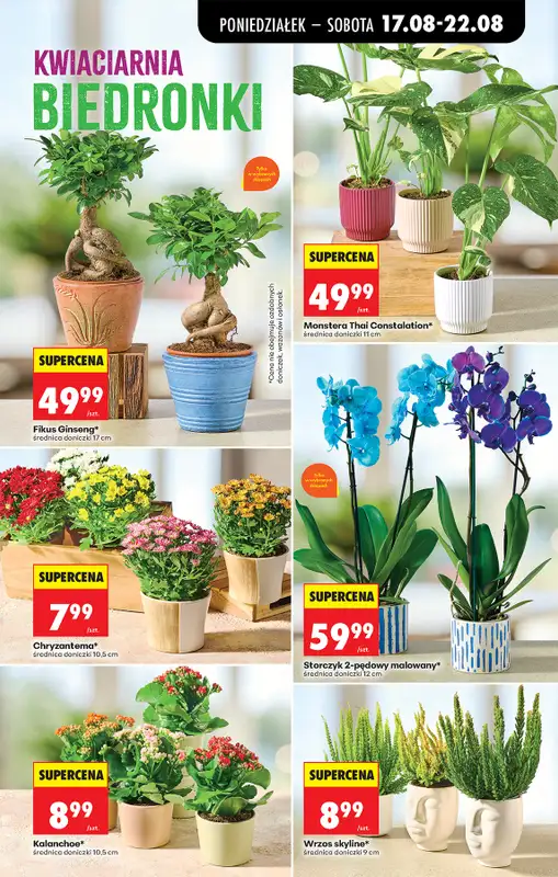 Biedronka - gazetka promocyjna Od poniedziałku, Z ladą tradycyjną od poniedziałku 17.08 do soboty 22.08 - strona 79