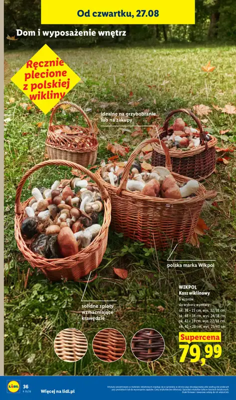 Lidl - gazetka promocyjna Katalog od poniedziałku 24.08 do niedzieli 30.08 - strona 42