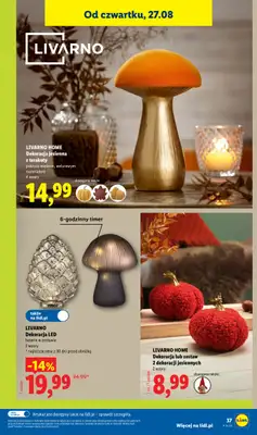 Lidl - gazetka promocyjna Katalog od poniedziałku 24.08 do niedzieli 30.08 - strona 43