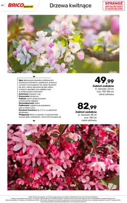 Bricomarche - gazetka promocyjna Jesienne inspiracje od poniedziałku 17.08 do soboty 31.10 - strona 60