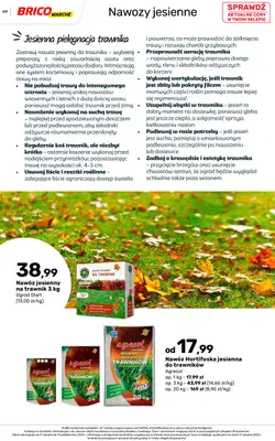 Bricomarche - gazetka promocyjna Jesienne inspiracje od poniedziałku 17.08 do soboty 31.10 - strona 64