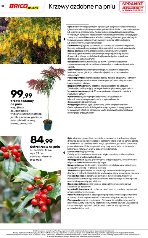 Bricomarche - gazetka promocyjna Jesienne inspiracje od poniedziałku 17.08 do soboty 31.10 - strona 39