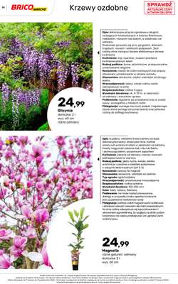 Bricomarche - gazetka promocyjna Jesienne inspiracje od poniedziałku 17.08 do soboty 31.10 - strona 36