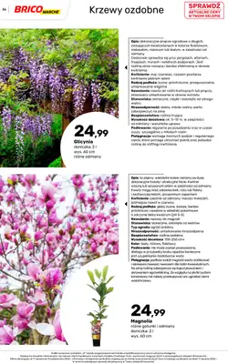 Bricomarche - gazetka promocyjna Jesienne inspiracje od poniedziałku 17.08 do soboty 31.10 - strona 36