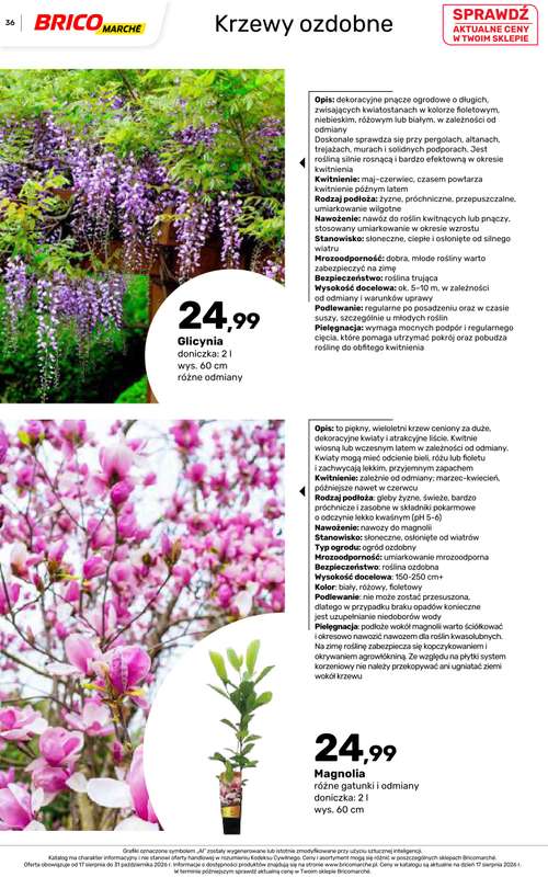 Bricomarche - gazetka promocyjna Jesienne inspiracje od poniedziałku 17.08 do soboty 31.10 - strona 36