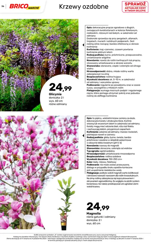Bricomarche - gazetka promocyjna Jesienne inspiracje od poniedziałku 17.08 do soboty 31.10 - strona 36