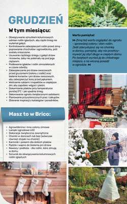 Bricomarche - gazetka promocyjna Jesienne inspiracje od poniedziałku 17.08 do soboty 31.10 - strona 111
