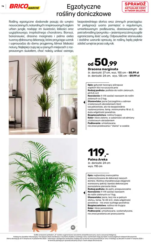 Bricomarche - gazetka promocyjna Jesienne inspiracje od poniedziałku 17.08 do soboty 31.10 - strona 74