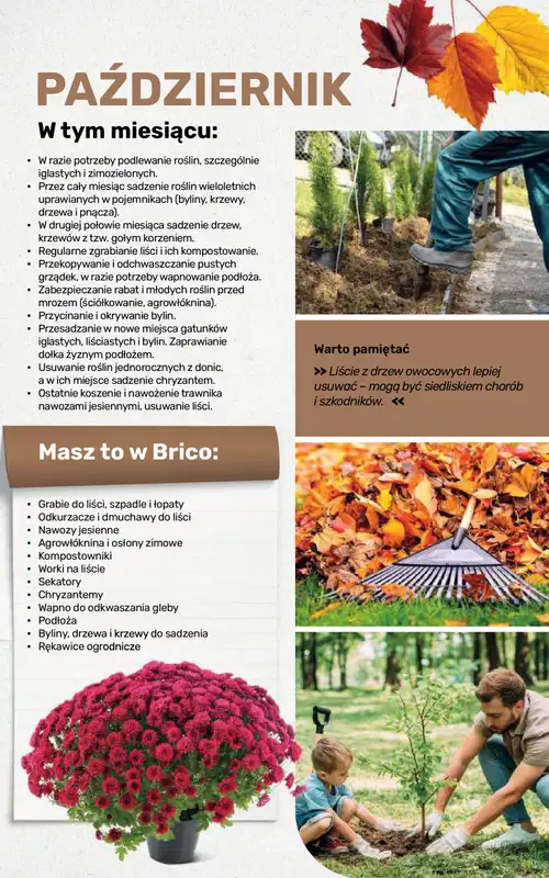 Bricomarche - gazetka promocyjna Jesienne inspiracje od poniedziałku 17.08 do soboty 31.10 - strona 109