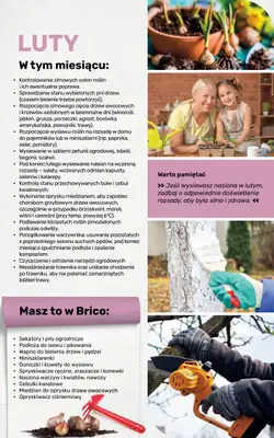 Bricomarche - gazetka promocyjna Jesienne inspiracje od poniedziałku 17.08 do soboty 31.10 - strona 101