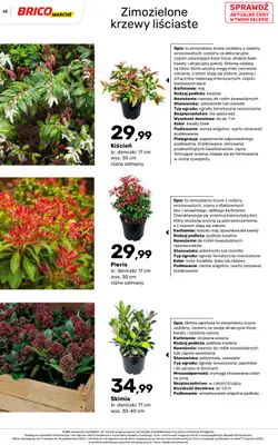 Bricomarche - gazetka promocyjna Jesienne inspiracje od poniedziałku 17.08 do soboty 31.10 - strona 48