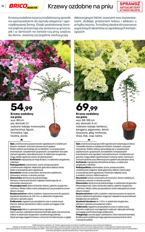 Bricomarche - gazetka promocyjna Jesienne inspiracje od poniedziałku 17.08 do soboty 31.10 - strona 38