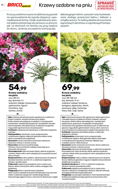 Bricomarche - gazetka promocyjna Jesienne inspiracje od poniedziałku 17.08 do soboty 31.10 - strona 38