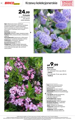 Bricomarche - gazetka promocyjna Jesienne inspiracje od poniedziałku 17.08 do soboty 31.10 - strona 42