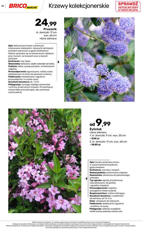 Bricomarche - gazetka promocyjna Jesienne inspiracje od poniedziałku 17.08 do soboty 31.10 - strona 42