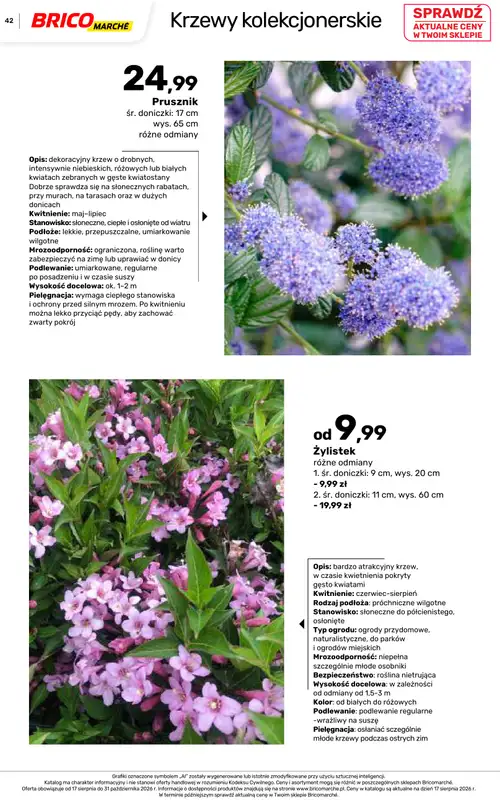 Bricomarche - gazetka promocyjna Jesienne inspiracje od poniedziałku 17.08 do soboty 31.10 - strona 42