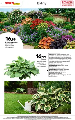 Bricomarche - gazetka promocyjna Jesienne inspiracje od poniedziałku 17.08 do soboty 31.10 - strona 24