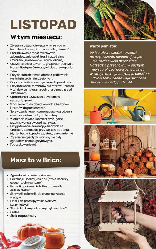 Bricomarche - gazetka promocyjna Jesienne inspiracje od poniedziałku 17.08 do soboty 31.10 - strona 110