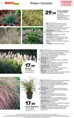 Bricomarche - gazetka promocyjna Jesienne inspiracje od poniedziałku 17.08 do soboty 31.10 - strona 51