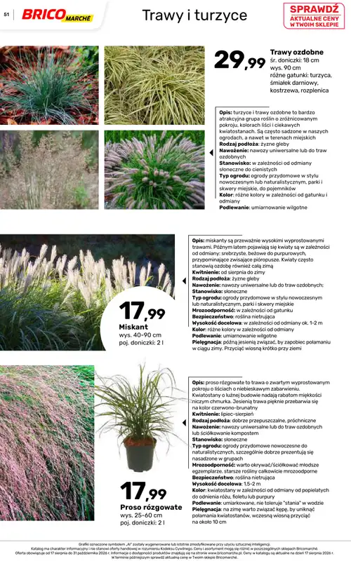 Bricomarche - gazetka promocyjna Jesienne inspiracje od poniedziałku 17.08 do soboty 31.10 - strona 51