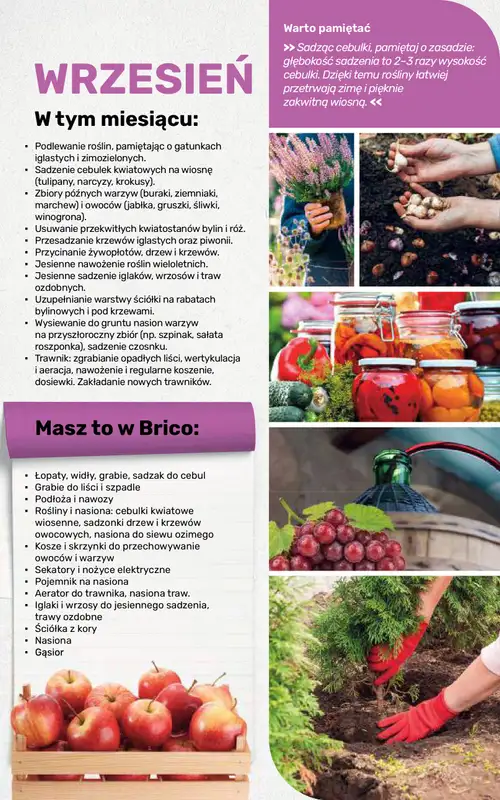 Bricomarche - gazetka promocyjna Jesienne inspiracje od poniedziałku 17.08 do soboty 31.10 - strona 108