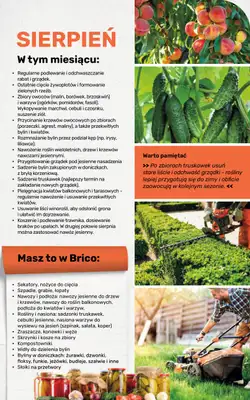 Bricomarche - gazetka promocyjna Jesienne inspiracje od poniedziałku 17.08 do soboty 31.10 - strona 107