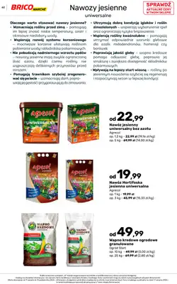 Bricomarche - gazetka promocyjna Jesienne inspiracje od poniedziałku 17.08 do soboty 31.10 - strona 62