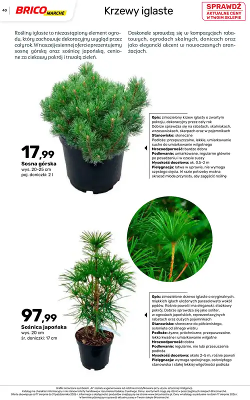 Bricomarche - gazetka promocyjna Jesienne inspiracje od poniedziałku 17.08 do soboty 31.10 - strona 40