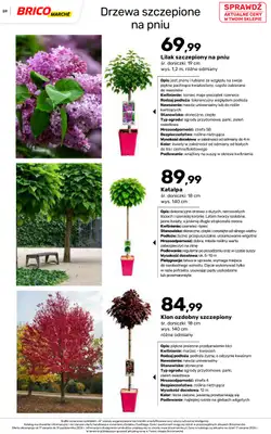 Bricomarche - gazetka promocyjna Jesienne inspiracje od poniedziałku 17.08 do soboty 31.10 - strona 59