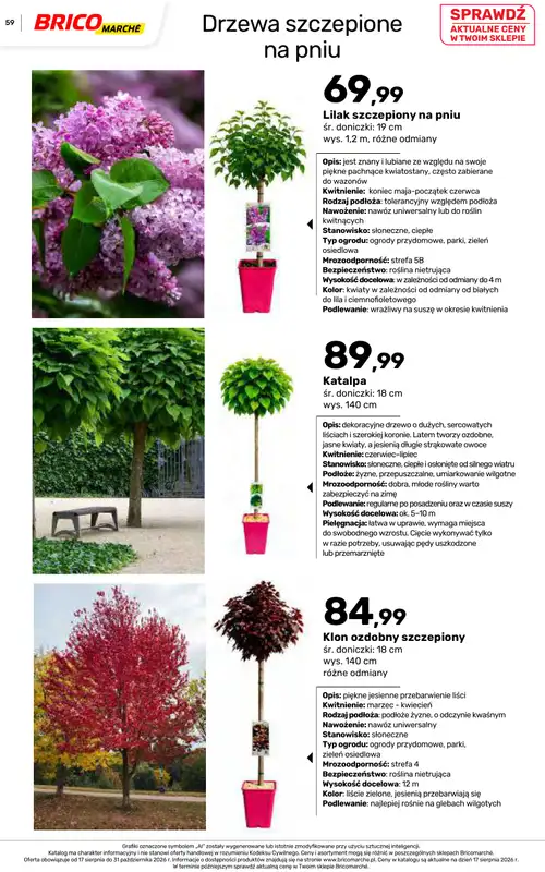 Bricomarche - gazetka promocyjna Jesienne inspiracje od poniedziałku 17.08 do soboty 31.10 - strona 59
