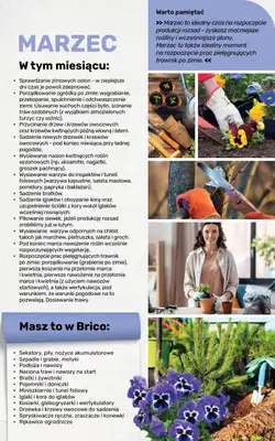 Bricomarche - gazetka promocyjna Jesienne inspiracje od poniedziałku 17.08 do soboty 31.10 - strona 102