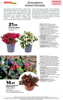 Bricomarche - gazetka promocyjna Jesienne inspiracje od poniedziałku 17.08 do soboty 31.10 - strona 46