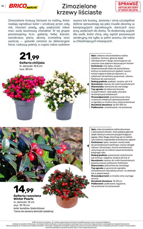 Bricomarche - gazetka promocyjna Jesienne inspiracje od poniedziałku 17.08 do soboty 31.10 - strona 46