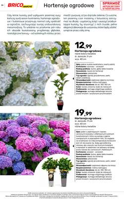 Bricomarche - gazetka promocyjna Jesienne inspiracje od poniedziałku 17.08 do soboty 31.10 - strona 26