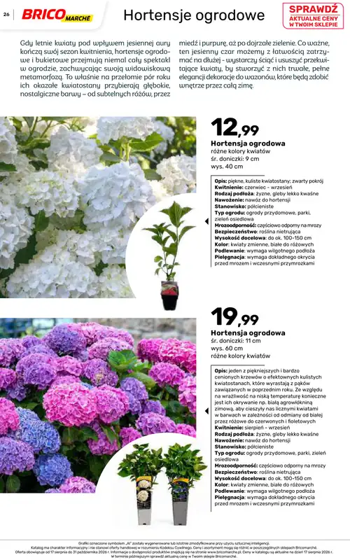 Bricomarche - gazetka promocyjna Jesienne inspiracje od poniedziałku 17.08 do soboty 31.10 - strona 26