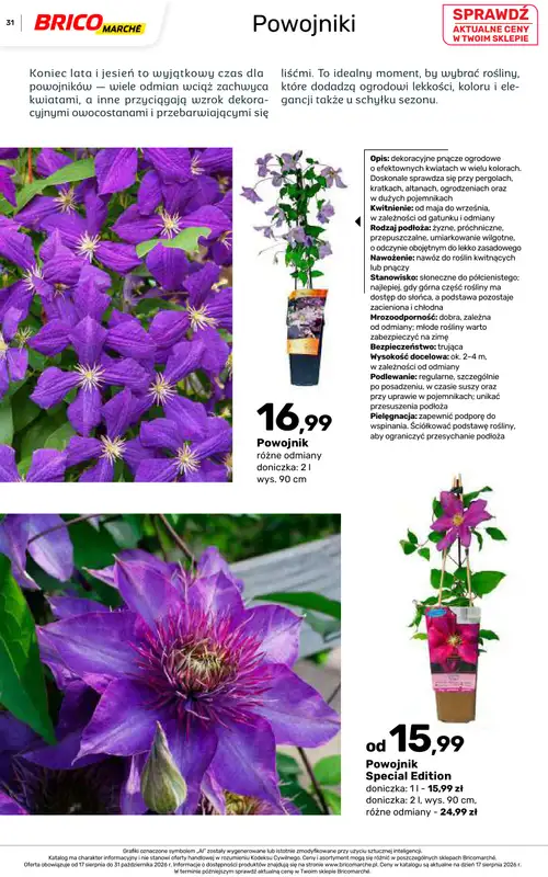 Bricomarche - gazetka promocyjna Jesienne inspiracje od poniedziałku 17.08 do soboty 31.10 - strona 31