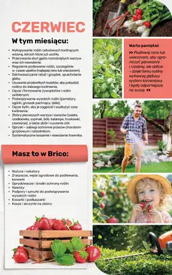 Bricomarche - gazetka promocyjna Jesienne inspiracje od poniedziałku 17.08 do soboty 31.10 - strona 105