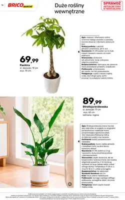 Bricomarche - gazetka promocyjna Jesienne inspiracje od poniedziałku 17.08 do soboty 31.10 - strona 73