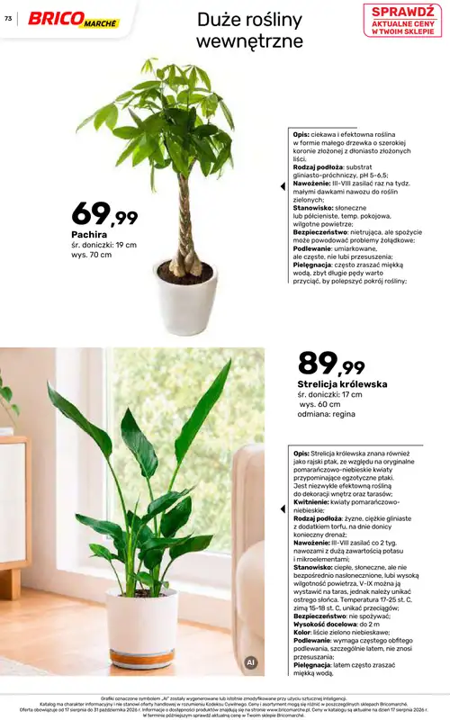 Bricomarche - gazetka promocyjna Jesienne inspiracje od poniedziałku 17.08 do soboty 31.10 - strona 73