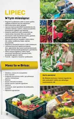 Bricomarche - gazetka promocyjna Jesienne inspiracje od poniedziałku 17.08 do soboty 31.10 - strona 106