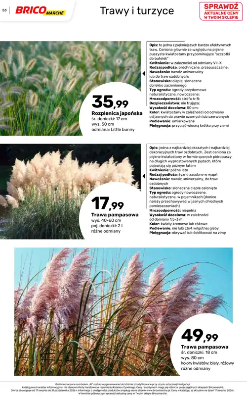 Bricomarche - gazetka promocyjna Jesienne inspiracje od poniedziałku 17.08 do soboty 31.10 - strona 53